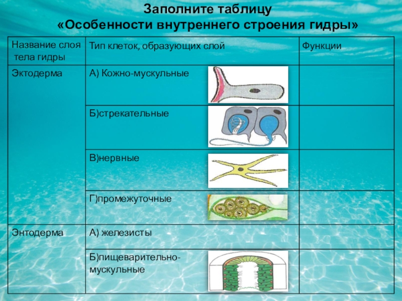 Что случилось с кракеном маркетплейс